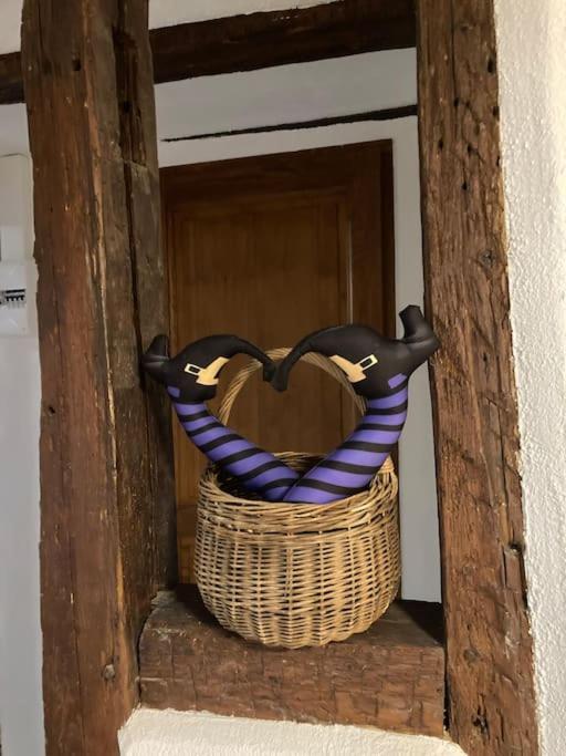 鲁法克La Sorciere In A Typical Alsatian House公寓 外观 照片
